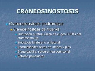 CRANEOSINOSTOSIS

   Craneosinostosis sindrómicas
       Craneosinostosis de Muenke
          Mutuación puntual única en el gen FGFR3 del
           cromosoma 4p
          Sinostosis bilateral o unilateral

          Anormalidades óseas en manos y pies

          Braquidactilia, sordera neurosensorial

          Retraso psicomotor
 