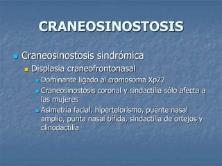CRANEOSINOSTOSIS

   Craneosinostosis sindrómica
       Displasia craneofrontonasal
          Dominante ligado al cromosoma Xp22
          Craneosinostosis coronal y sindactilia sólo afecta a
           las mujeres
          Asimetría facial, hipertelorismo, puente nasal
           amplio, punta nasal bífida, sindactilia de ortejos y
           clinodactilia
 