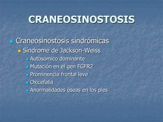 CRANEOSINOSTOSIS

   Craneosinostosis sindrómicas
       Síndrome de Jackson-Weiss
         Autosómico dominante
         Mutación en el gen FGFR2

         Prominencia frontal leve

         Oxicefalia

         Anormalidades óseas en los pies
 