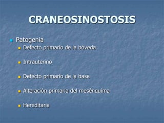 CRANEOSINOSTOSIS
   Patogenia
       Defecto primario de la bóveda

       Intrauterino

       Defecto primario de la base

       Alteración primaria del mesénquima

       Hereditaria
 
