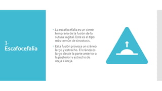 3.
Escafocefalia
 La escafocefalia es un cierre
temprano de la fusión de la
sutura sagital. Este es el tipo
más común de sinostosis.
 Esta fusión provoca un cráneo
largo y estrecho. El cráneo es
largo desde la parte anterior a
la posterior y estrecho de
oreja a oreja.
 