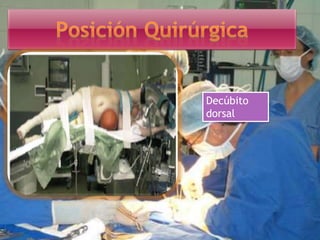 Decúbito
dorsal
 
