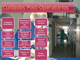 Cuidados
Inmediatos
Valorar y
medir
constantes
vitales
Valorar el
sistema
neurológico.
Vestirlo de
forma
apropiada
Valorar el
dolor.
Verificar
llenado
capilar de los
pies.
Mantener
equilibrio
hídrico.
Mantener la
seguridad
del
paciente.
Valorar la
diuresis
Control de
líquidos
ingeridos y
eliminados.
Valorar el
estado
respiratorio
del paciente
Hacer
registros.
 
