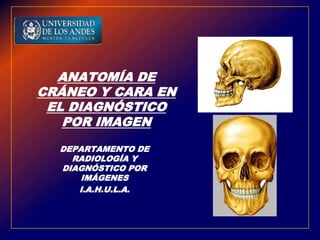 ANATOMÍA DE
CRÁNEO Y CARA EN
EL DIAGNÓSTICO
POR IMAGEN
DEPARTAMENTO DE
RADIOLOGÍA Y
DIAGNÓSTICO POR
IMÁGENES
I.A.H.U.L.A.
 