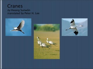 Cranes by  Hwang Sunwŏn translated by  Peter H. Lee 