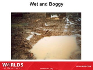 Wet and Boggy




    Internal Use Only
 