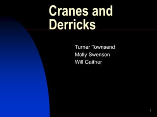 1
Cranes and
Derricks
Turner Townsend
Molly Swenson
Will Gaither
 