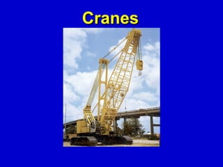 Cranes 