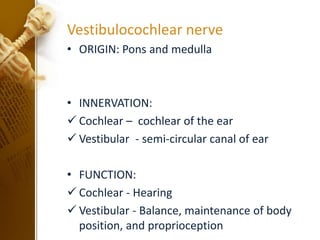 The twelve pairs of cranial nervess.pptx