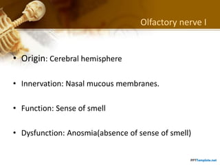 Smell Inervation The twelve pairs of cranial nervess.pptx