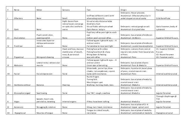 Cranial Nerve Testing Chart