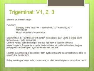 Trigeminal: V1, 2, 3
Efferent or Afferent: Both
Function:
Sensory to the face: V1 – ophthalmic, V2- maxillary, V3 –
mandib...
