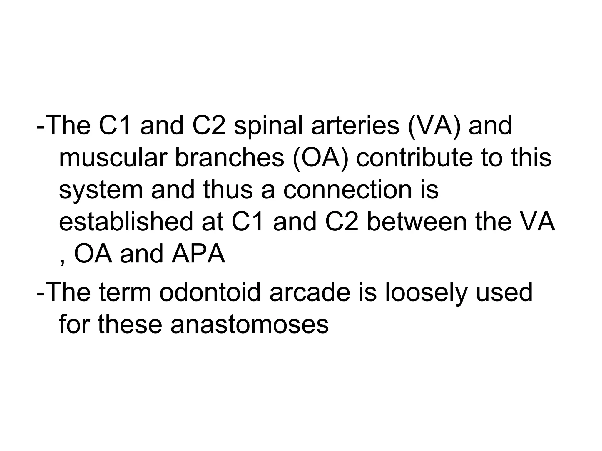 -The C1 and C2 spinal arteries (VA) and
muscular branches (OA) contribute to this
system and thus a connection is
established at C1 and C2 between the VA
, OA and APA
-The term odontoid arcade is loosely used
for these anastomoses
 