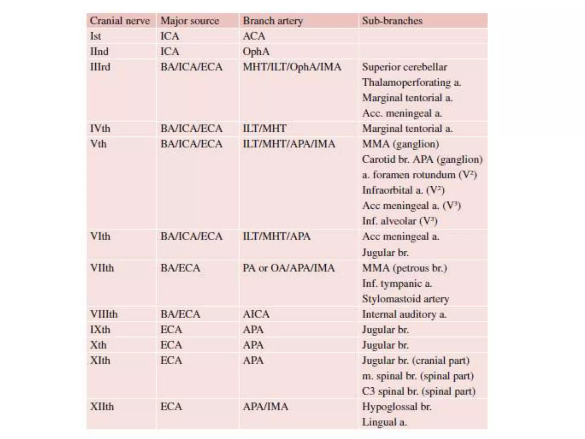 Cranial anastomoses and dangerous vascular connections