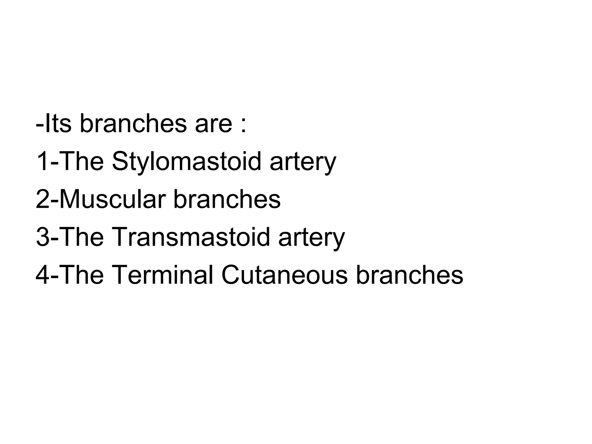 -Its branches are :
1-The Stylomastoid artery
2-Muscular branches
3-The Transmastoid artery
4-The Terminal Cutaneous branches
 