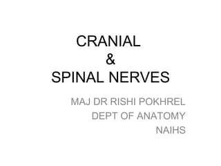 CRANIAL
&
SPINAL NERVES
MAJ DR RISHI POKHREL
DEPT OF ANATOMY
NAIHS
 