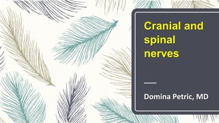 Cranial and
spinal
nerves
Domina Petric, MD
 