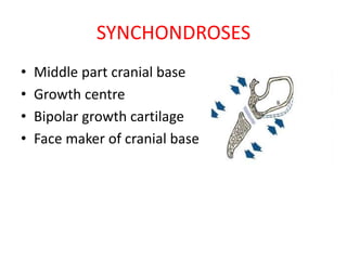 SYNCHONDROSES
• Middle part cranial base
• Growth centre
• Bipolar growth cartilage
• Face maker of cranial base
 