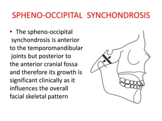 SPHENO-OCCIPITAL SYNCHONDROSIS
• The spheno-occipital
synchondrosis is anterior
to the temporomandibular
joints but posterior to
the anterior cranial fossa
and therefore its growth is
significant clinically as it
influences the overall
facial skeletal pattern
 