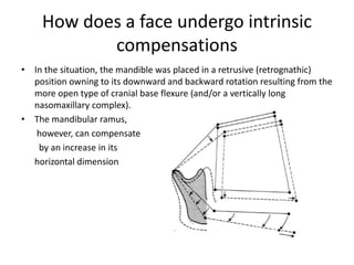 How does a face undergo intrinsic
compensations
• In the situation, the mandible was placed in a retrusive (retrognathic)
position owning to its downward and backward rotation resulting from the
more open type of cranial base flexure (and/or a vertically long
nasomaxillary complex).
• The mandibular ramus,
however, can compensate
by an increase in its
horizontal dimension
 