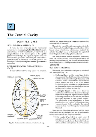 7
The Cranial Cavity
             BONY FEATURES                                        middle and posterior cranial fossae, each extending
                                                                  from one side to the other.
SKULL CAP OR CALVARIA (Fig. 7.1)                                      The anterior cranial fossa is separated posteriorly
     It forms the roof of cranial cavity. Its internal            from the middle fossa by the posterior borders of the
surface shows coronal, sagittal and lambdoid sutures              lesser wings of sphenoid which ends medially in
as it is formed by portions of frontal, two parietals and         anterior clinoid processes. In the middle it is separated
occipital bones. In the median plane is the sagittal              from the pituitary fossa by sphenoidal crest.
groove which lodges the superior sagittal sinus. By                   The middle cranial fossa is separated posteriorly
the side of the groove are arachnoid pits for arachnoid           from the posterior fossa by the superior border of
granulations. Numerous vascular grooves for                       petrous temporal laterally and dorsum sellae medially
meningeal vessels and impressions for gyri of brain               which has posterior clinoid processes at its lateral ends.
are visible.
                                                                  CONTENTS
INTERNAL SURFACE OF THE BASE OF SKULL
(Fig. 7.2)                                                        Dura matter and dural folds
    It is divisible into three large fossae viz, anterior,           The cranial dura mater has two layers — endosteal
                                                                  and meningeal (Fig. 7.3).
                                                                       K Endosteal layer or the outer layer is the
                                                                          endosteum of the skull bones. It is continuous
                                                                          with the pericranium through the sutures and
                                                                          foramina, and is adherent to the bones at these
                                                                          places and to the base of the skull. At the
                                                                          foramen magnum it fuses with the periosteum
                                                                          of the edge of the foramen to be continuous
                                                                          with the pericranium of the scalp.
                                                                       K Meningial layer or the inner layer is
                                                                          continuous with the spinal dura mater through
                                                                          the foramen magnum. It protects and supports
                                                                          different parts of the brain. In some places the
                                                                          two layers separate to form venous sinuses.
                                                                          The meningeal layer reduplicates to form
                                                                          curtains between parts of brain or to enclose
                                                                          venous sinuses. It also ensheaths the cranial
                                                                          nerves as they pass through the foramina of
                                                                          the skull.
                                                                      There are four folds, two occupy the median plane
                                                                  (falx cerebri and falx cerebelli) and two lie horizontally
                                                                  (tentorium cerebelli and diaphragm sellae).
                                                                       K Falx cerebri (Fig. 7.4) is a sickle-shaped
                                                                          reduplication of internal layer of dura mater
                                                                          which intervenes between the medial surfaces
  Fig. 7.1 Features on the interior aspect of skull cap.                  of two cerebral hemispheres. Its upper convex

                                                             41
 