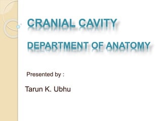 Presented by :
Tarun K. Ubhu
CRANIAL CAVITY
DEPARTMENT OF ANATOMY
 
