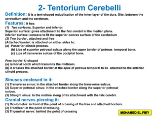 2- Tentorium Cerebelli
Definition: It is a tent-shaped reduplication of the inner layer of the dura. Site: between the
cerebellum and the cerebrum.
Features: It has:
(1) Two surfaces, Superior and inferior.
Superior surface: gives attachment to the falx cerebri in the median plane.
Inferior surface: concave to fit the superior convex surface of the cerebellum
(2) Two border , attached and free
(Attached border: is attached on either sides to:
(a) Posterior clinoid process.
(b) Lips of superior petrosal sulcus along the upper border of petrous temporal bone.
(c) Lips of transverse sulcus of the occipital bone.
Free border: U-shaped
(a) tentorial notch which transmits the midbrain.
(b) it crosses the attached border at the apex of petrous temporal to be attached to the anterior
clinoid process.
Sinuses enclosed in it:
(1) Transverse sinus: in the attached border along the transverse sulcus.
(2) Superior petrosal sinus: in the attached border along the superior petrosal
sulcus.
(3) Straight sinus: In the midline along of its attachment with the falx cerebri.
Cranial nerves piercing it:
(1) Oculomotor: in front of the point of crossing of the free and attached borders.
(2) Trochlear: at the point of crossing.
(3) Trigeminal nerve: behind the point of crossing
 