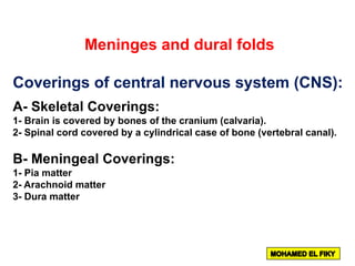 Meninges and dural folds
Coverings of central nervous system (CNS):
A- Skeletal Coverings:
1- Brain is covered by bones of the cranium (calvaria).
2- Spinal cord covered by a cylindrical case of bone (vertebral canal).
B- Meningeal Coverings:
1- Pia matter
2- Arachnoid matter
3- Dura matter
 