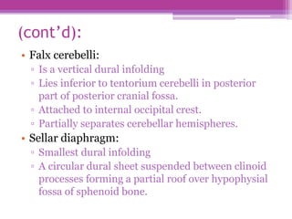 (cont’d):
• Falx cerebelli:
▫ Is a vertical dural infolding
▫ Lies inferior to tentorium cerebelli in posterior
part of posterior cranial fossa.
▫ Attached to internal occipital crest.
▫ Partially separates cerebellar hemispheres.
• Sellar diaphragm:
▫ Smallest dural infolding
▫ A circular dural sheet suspended between clinoid
processes forming a partial roof over hypophysial
fossa of sphenoid bone.
 