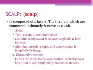 SCALP: (scalp)
• Is composed of 5 layers. The first 3 of which are
connected intimately & move as a unit.
▫ 1. Skin:
 Thin, except in occipital region
 Contains many sweat & sebaceous glands & hair
follicles.
 Abundant arterial supply and good venous &
lymphatic drainage
▫ 2. Connective tissue:
 Forms the thick, richly vascularized, subcutaneous
layer that is well supplied by cutaneous nerves.
 