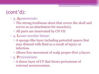 (cont’d):
▫ 3. Aponeurosis:
 The strong tendinous sheet that covers the skull and
serves as an attachment for muscle(s).
 All parts are innervated by CN VII
▫ 4. Loose-areolar tissue:
 A sponge-like layer including potential spaces that
may distend with fluid as a result of injury or
infection.
 Allows free movement of scalp proper-first 3 layers
▫ 5. Pericranium:
 A dense layer of CT that forms periosteum of
external neurocranium.
 