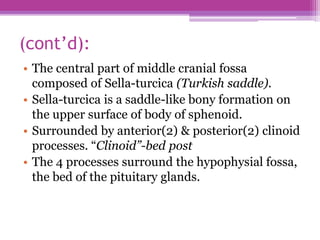 (cont’d):
• The central part of middle cranial fossa
composed of Sella-turcica (Turkish saddle).
• Sella-turcica is a saddle-like bony formation on
the upper surface of body of sphenoid.
• Surrounded by anterior(2) & posterior(2) clinoid
processes. “Clinoid”-bed post
• The 4 processes surround the hypophysial fossa,
the bed of the pituitary glands.
 
