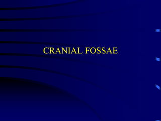 CRANIAL FOSSAE
 
