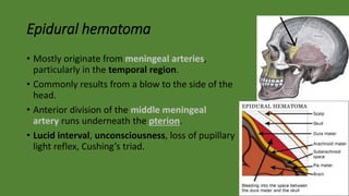 Epidural hematoma
• Mostly originate from meningeal arteries,
particularly in the temporal region.
• Commonly results from a blow to the side of the
head.
• Anterior division of the middle meningeal
artery runs underneath the pterion.
• Lucid interval, unconsciousness, loss of pupillary
light reflex, Cushing’s triad.
 