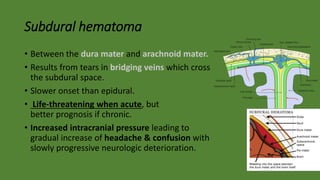 Subdural hematoma
• Between the dura mater and arachnoid mater.
• Results from tears in bridging veins which cross
the subdural space.
• Slower onset than epidural.
• Life-threatening when acute, but
better prognosis if chronic.
• Increased intracranial pressure leading to
gradual increase of headache & confusion with
slowly progressive neurologic deterioration.
 
