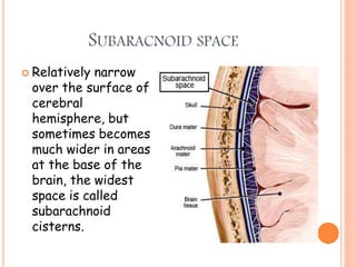 SUBARACNOID SPACE
 Relatively narrow
over the surface of
cerebral
hemisphere, but
sometimes becomes
much wider in areas
at the base of the
brain, the widest
space is called
subarachnoid
cisterns.
 