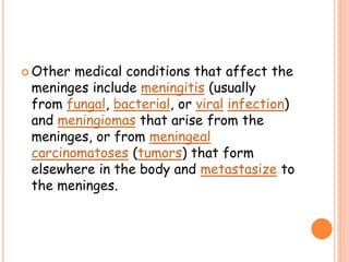  Other medical conditions that affect the
meninges include meningitis (usually
from fungal, bacterial, or viral infection)
and meningiomas that arise from the
meninges, or from meningeal
carcinomatoses (tumors) that form
elsewhere in the body and metastasize to
the meninges.
 