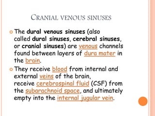CRANIAL VENOUS SINUSES
 The dural venous sinuses (also
called dural sinuses, cerebral sinuses,
or cranial sinuses) are venous channels
found between layers of dura mater in
the brain.
 They receive blood from internal and
external veins of the brain,
receive cerebrospinal fluid (CSF) from
the subarachnoid space, and ultimately
empty into the internal jugular vein.
 