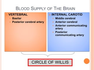 BLOOD SUPPLY OF THE BRAIN
 VERTEBRAL
 Basilar
 Posterior cerebral artery
 INTERNAL CAROTID
 Middle cerebral
 Anterior cerebral
 Anterior communicating
artery
 Posterior
communicating artery
CIRCLE OF WILLIS
 