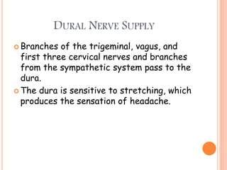 DURAL NERVE SUPPLY
 Branches of the trigeminal, vagus, and
first three cervical nerves and branches
from the sympathetic system pass to the
dura.
 The dura is sensitive to stretching, which
produces the sensation of headache.
 