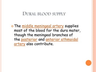 DURAL BLOOD SUPPLY
 The middle meningeal artery supplies
most of the blood for the dura mater,
though the meningeal branches of
the posterior and anterior ethmoidal
artery also contribute.
 