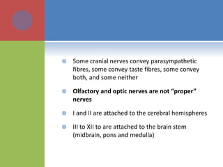  Some cranial nerves convey parasympathetic
fibres, some convey taste fibres, some convey
both, and some neither
 Olfactory and optic nerves are not “proper”
nerves
 I and II are attached to the cerebral hemispheres
 III to XII to are attached to the brain stem
(midbrain, pons and medulla)
 