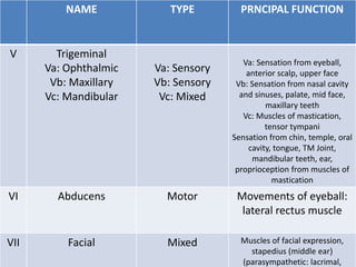 NAME TYPE PRNCIPAL FUNCTION
V Trigeminal
Va: Ophthalmic
Vb: Maxillary
Vc: Mandibular
Va: Sensory
Vb: Sensory
Vc: Mixed
Va: Sensation from eyeball,
anterior scalp, upper face
Vb: Sensation from nasal cavity
and sinuses, palate, mid face,
maxillary teeth
Vc: Muscles of mastication,
tensor tympani
Sensation from chin, temple, oral
cavity, tongue, TM Joint,
mandibular teeth, ear,
proprioception from muscles of
mastication
VI Abducens Motor Movements of eyeball:
lateral rectus muscle
VII Facial Mixed Muscles of facial expression,
stapedius (middle ear)
(parasympathetic: lacrimal,
 