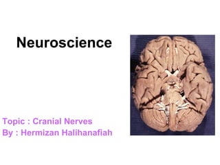Neuroscience




Topic : Cranial Nerves
By : Hermizan Halihanafiah
 