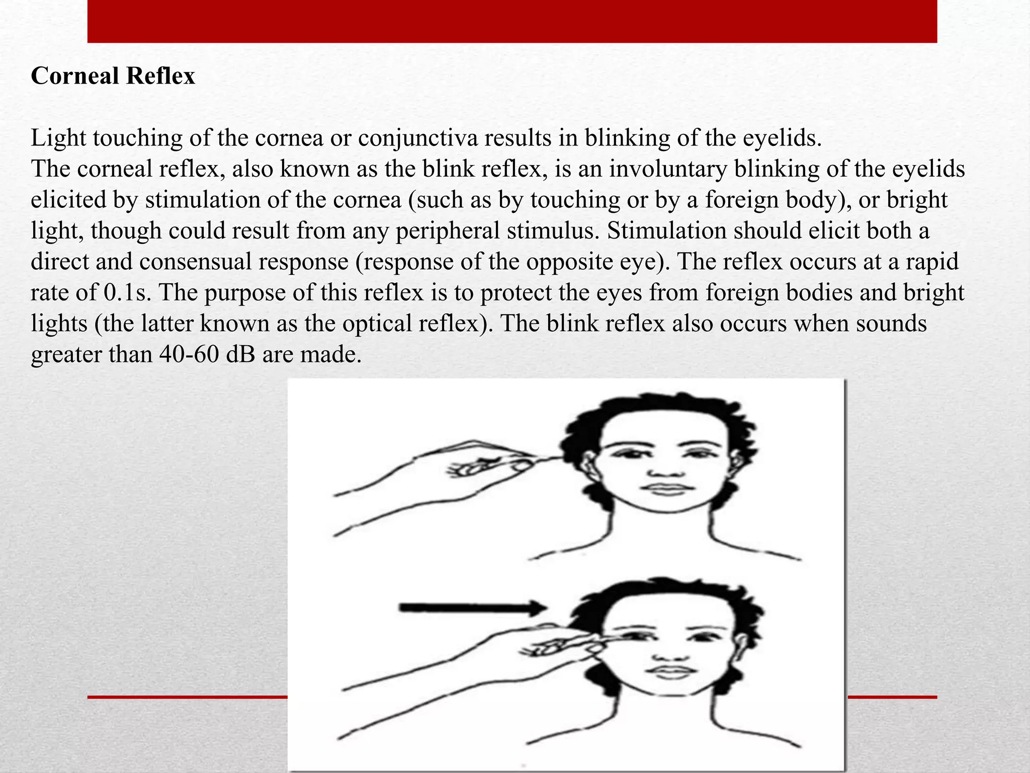 Cranial nerve | PPTX