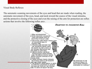 Cranial nerve | PPTX