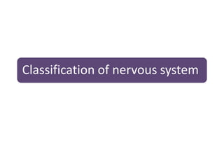 Classification of nervous system
 