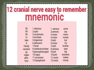 Cranial nerve, Nervous system, Anatomy and Physiology | PPTX