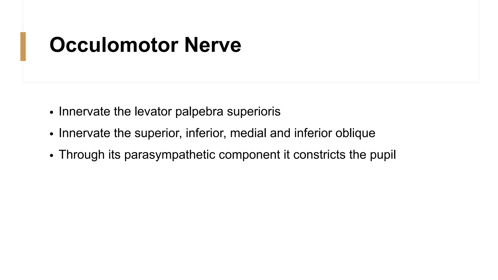 Occulomotor Nerve
• Innervate the levator palpebra superioris
• Innervate the superior, inferior, medial and inferior oblique
• Through its parasympathetic component it constricts the pupil
 