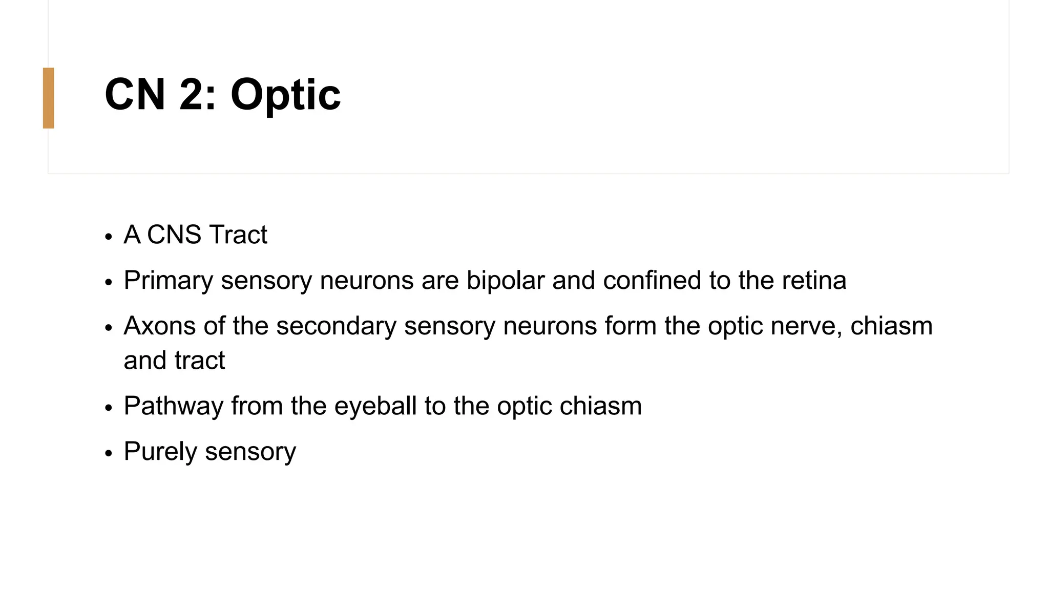 CN 2: Optic
• A CNS Tract
• Primary sensory neurons are bipolar and confined to the retina
• Axons of the secondary sensory neurons form the optic nerve, chiasm
and tract
• Pathway from the eyeball to the optic chiasm
• Purely sensory
 